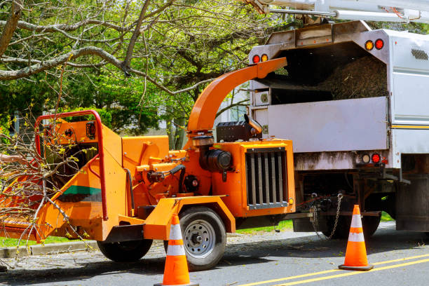 Best Storm Damage Tree Cleanup  in Azle, TX